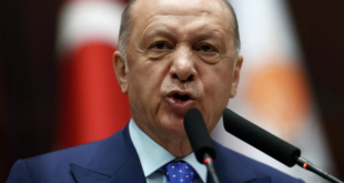 أردوغان: أدنى هجوم من شمال سوريا لن يمر دون رد
