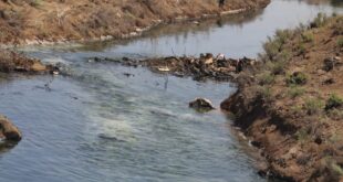 نهر ملوث بمخلفات نفطية سامة يهدد عشرات القرى شمال سوريا
