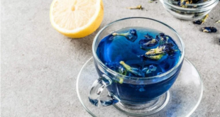 “الشاي الأزرق” معجزة علاجية منذ قرون