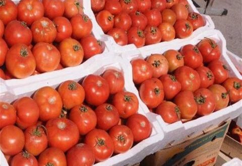في الأسواق... البندورة بـ٥٠٠ والحامض بـ ٦٥٠٠ ليرة