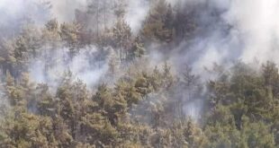 إطفاء حريق في غابة ضخمة في طرطوس