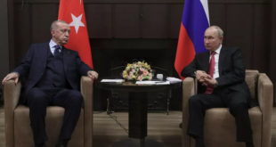 أنقرة: بوتين وأردوغان ناقشا الوضع في سوريا و"قضية الحبوب"