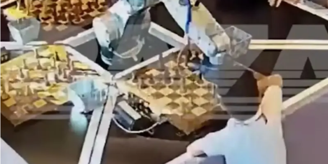 شاهد مباراة شطرنج تتحول لمأساة