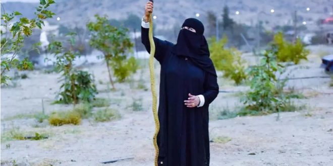 فتاة سعودية هوايتها اللعب مع الكوبرا