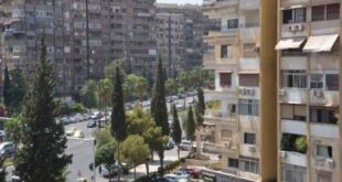 خبير عقاري: سعر العقار في منطقة المالكي أغلى من لندن
