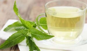 علاج الجيوب الانفية بالاعشاب