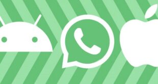 WhatsApp يدعم الآن عمليات نقل المحادثات عبر الأنظمة الأساسية بين iOS و Android