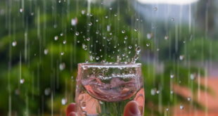 هل تصلح الأمطار للشرب؟