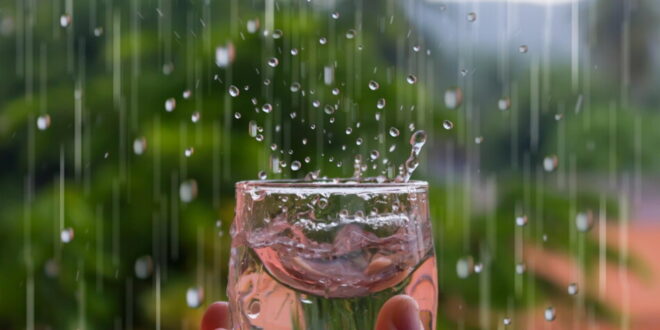 هل تصلح الأمطار للشرب؟