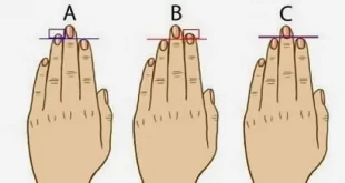 جذابة إيجابية أم متوازنة.. طول أصابعك يكشف أسرار شخصيتك