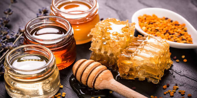 النحالون: العسل السوري من أفضل العسل في العالم