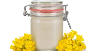 العسل الأبيض: أهم الفوائد والاستخدامات
