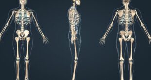 بالصورة.. العثور على بقايا امرأة "مصاصة دماء"