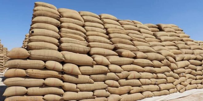 هل يغطي مخزون القمح الموجود حاجة سورية