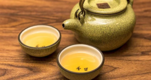 كوب من الشاي الأصفر.. فوائد لا تدركها لصحتك