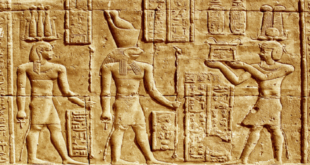 بقايا صقور مصرية قديمة تكشف عن طقوس دينية غامضة!