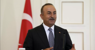 وزير الخارجية التركي: لا يمكن تحقيق الاستقرار في سوريا