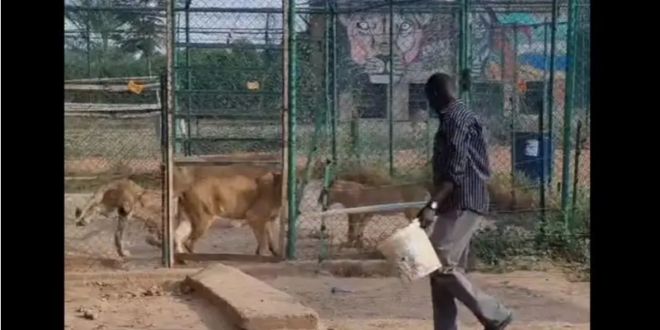عامل سوداني بين الأسود