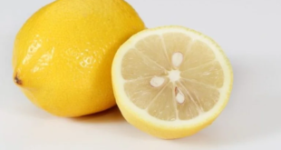 بذور الليمون