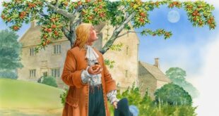 قصّة الطفل وشجرة التفاح.. واحدة من أكثر العبر المفيدة في الحياة