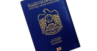 7 وظائف مؤهلة للحصول على الجنسية الإماراتية