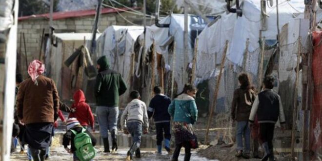 منظمة العفو الدولية تطالب لبنان بوقف خطة ترحيل اللاجئين السوريين