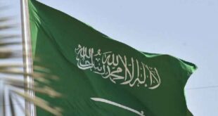 هيئة الزكاة والجمارك في السعودية: يُمنع استيراد شجرة الميلاد بشكل نهائي