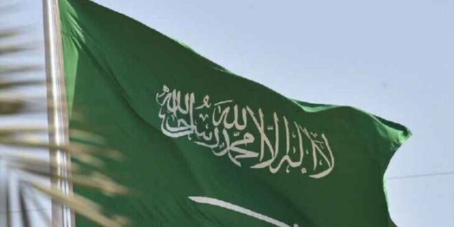 هيئة الزكاة والجمارك في السعودية: يُمنع استيراد شجرة الميلاد بشكل نهائي