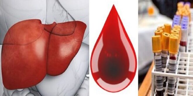 سرطان الكبد بناء على قطرة دم واحدة