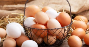 أفضل أنواع البيض على الصحة
