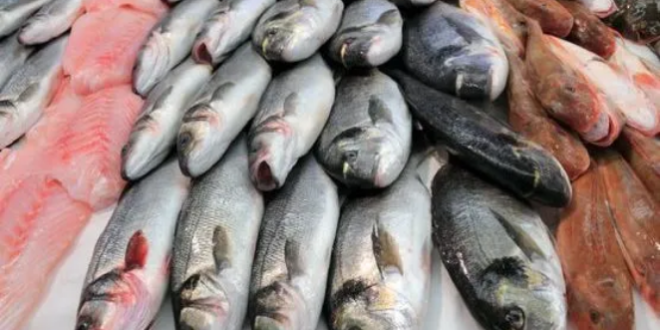 إليكم فروقات أسعار الأسماك بين دمشق واللاذقية