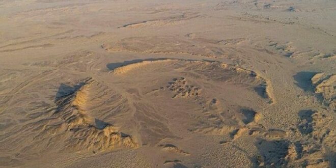 الأكبر في العالم.. دولة عربية فقيرة تكتشف كنز عمره 60 مليون عام