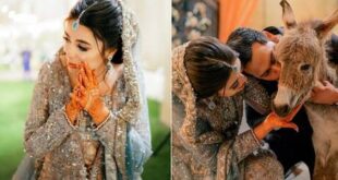 عريس باكستاني يفاجئ زوجته ليلة الزفاف بهدية غير تقليدية! (صور+ فيديو)