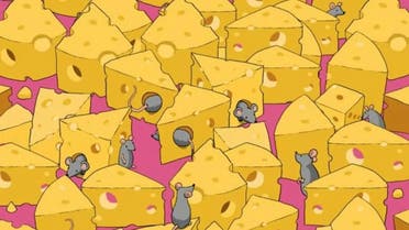 1 % فقط عثروا على النرد بين الفئران وقطع الجبن بـ11 ثانية.. فهل أنت منهم؟