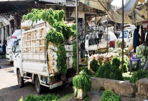 ارتفاع أجور نقل الخضار 100 بالمئة.. أجرة سيارة الخضر