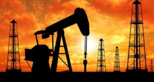 أسعار النفط عالمياً في تراجع والحكومة تتخبط