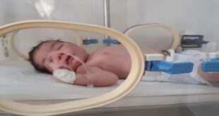 تراجع أعداد الولادات في سورية إلى النصف