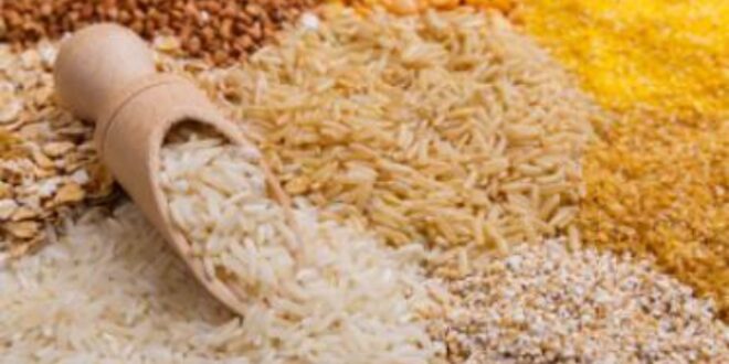 الثانية من نوعها.. منحة صينية تشمل الأرز والقمح إلى سوريا