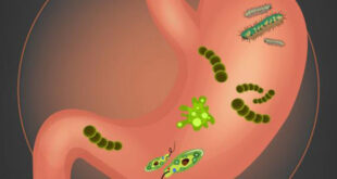 علاج جرثومة المعدة بالأدوية وطرق الوقاية منها