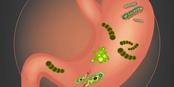 علاج جرثومة المعدة بالأدوية وطرق الوقاية منها