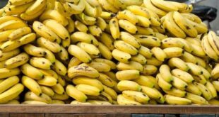 الموز ب لبنان اقل من 2500 ليرة و بسورية ب 8000 ليرة