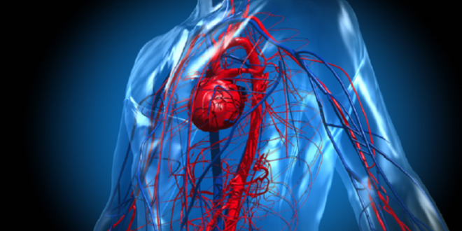 9 عوامل لخطر الإصابة بأمراض القلب حسب الخبراء!