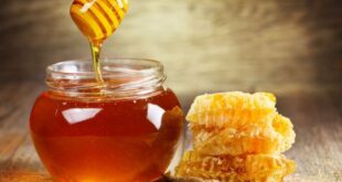 90 ألف ليرة سعر كيلو العسل في سورية